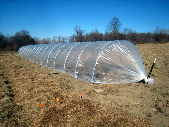 How to Build a Low Tunnel Greenhouse | Soils Plus Sonoma