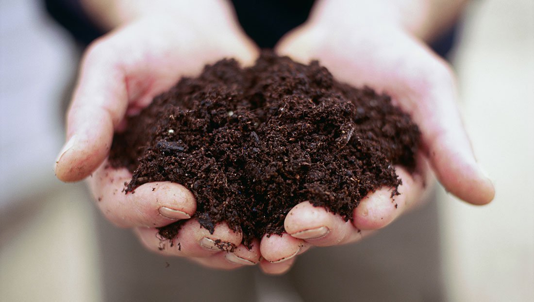 What, When & Why of Using Compost