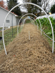 Hoops secured in ground. Photo source here.